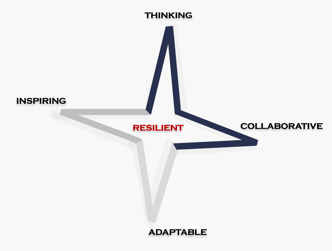 a 4 point star encompassing our 5 leadership domains